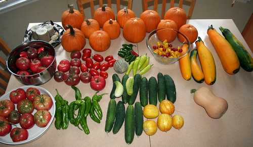 Weekly Harvest 8.13.2010