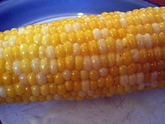 Corn!