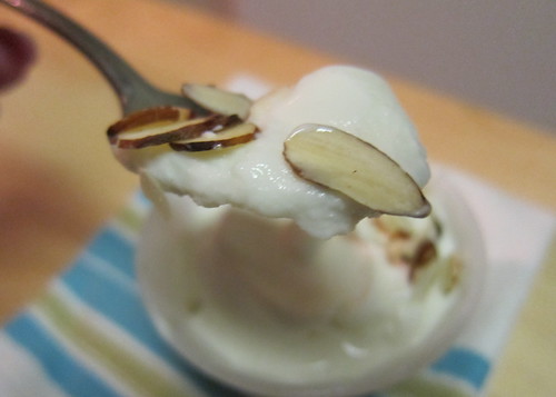 Greek-style Honey Nut Frozen Yogurt
