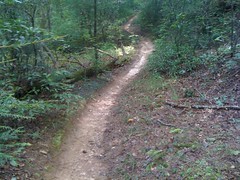  Turner Creek Trail - trail, mess, trail 