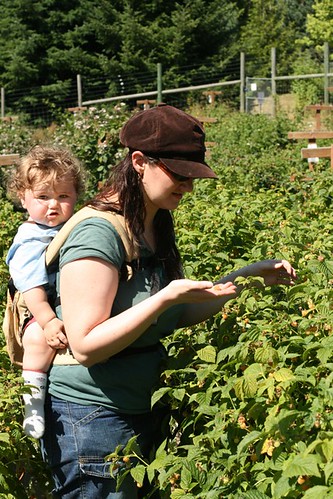 picking berries with baby in the ERGO carrier