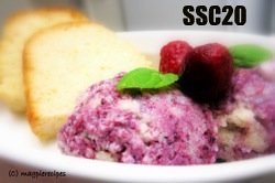 SSc20-Berry Frozen Yogurt