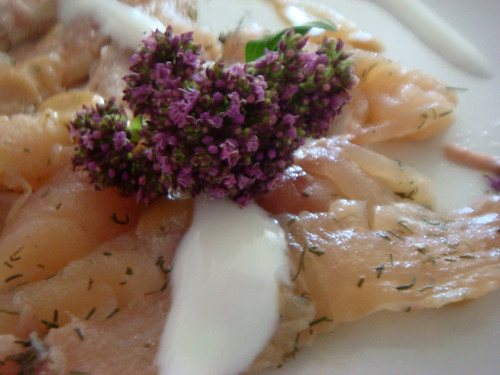 marinated trout
