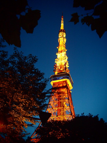 Tokyo 2010 - 芝公園 - 東京タワー(17)