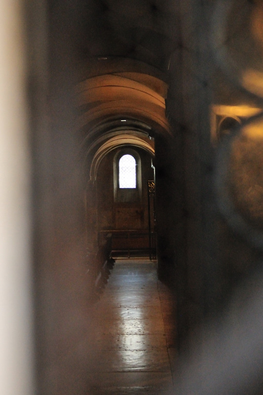 Through the Duomo Window