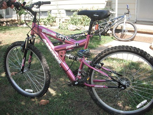 Aug 14 2010 Pink bike