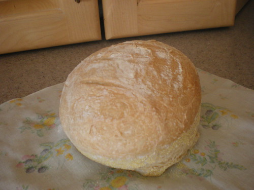 5 minute bread
