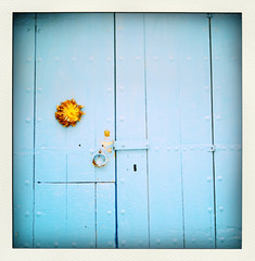 blue door-pola