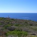 Isola del Giglio - faro di Punta Capel Rosso