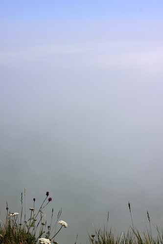 Fog in the Channel