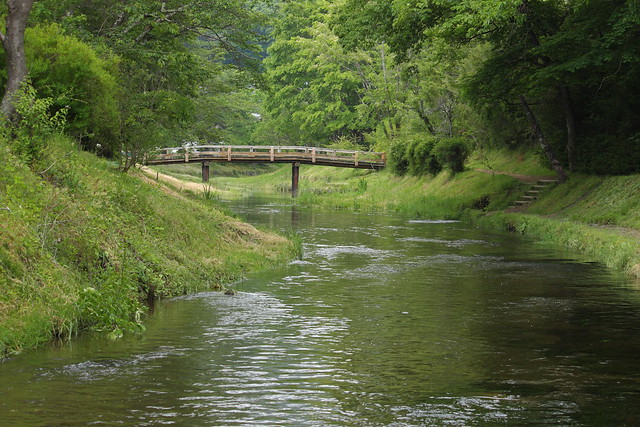 Oshino River
