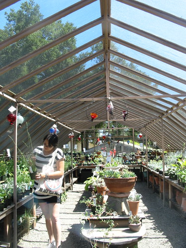 Botanic Garden's Nursery