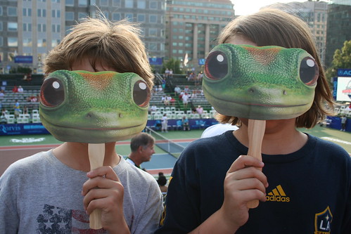 Geico was a heavy supporter of the Kastles.