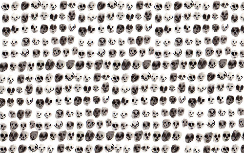 skull wallpaper