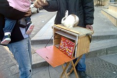 Conejitos adivinadores en Karaköy