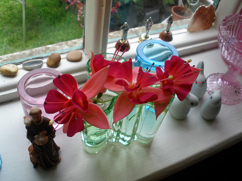 Fuchsia flowers in an Aalto vase