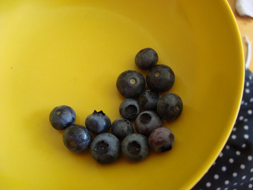blueberries from outside my door