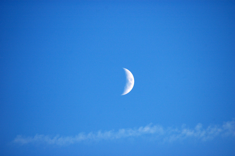 The Moon :: Click for previous