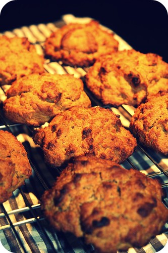 sweet potato biscuits cooling