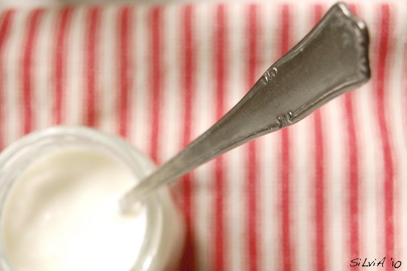 homemade yogurt #1