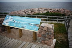 Cape Breton - Cabot Trail
