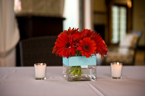 Red gerbera centerpieces with teal ribbon