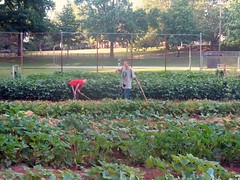 volunteer gardeners (by: PVCPG)