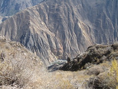 2010-4-peru-198-cabanaconde-colca canyon