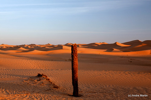 Vue du désert @ Timimoun (5)