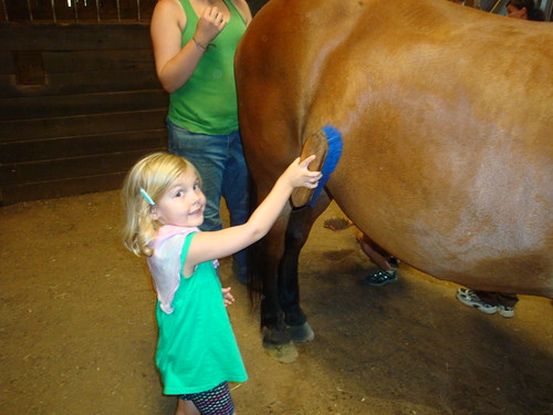 Brushing Ernie the Horse