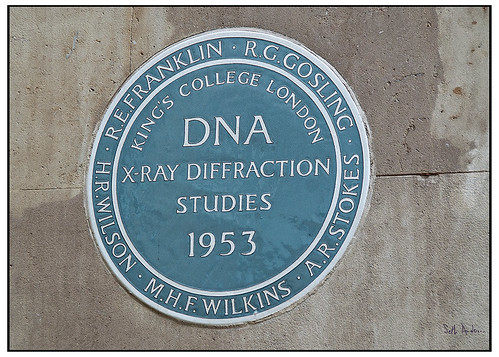 DNA X-Ray Diffraction Studies 1953
