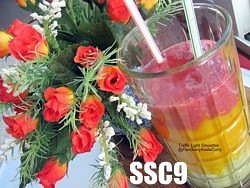 SSC9-TrafficLightSmoothie