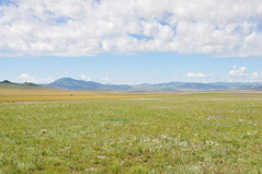 Mongolia (3)