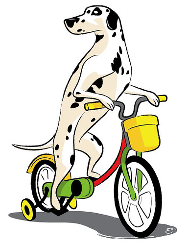 Dog Riding a Bicycle 