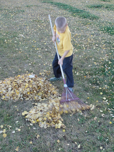 Cheetahboy raking leaves.