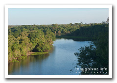 Pantanal, Mato Grosso, Brazil