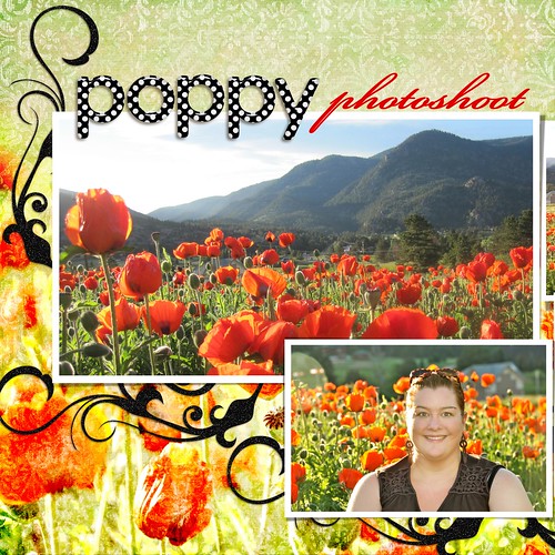 Poppy Photoshoot Layout (Left Side)