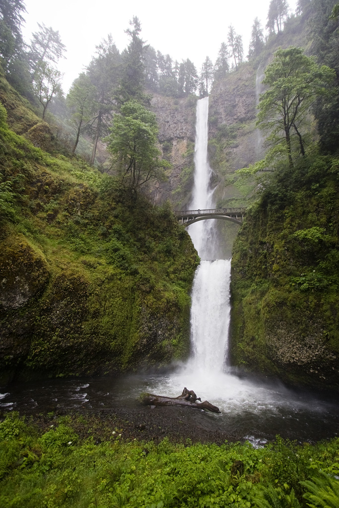 This Would Also Be Multnomah Falls