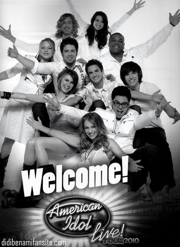American Idol Live Tour 2010
