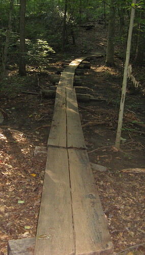 Planks in the trail