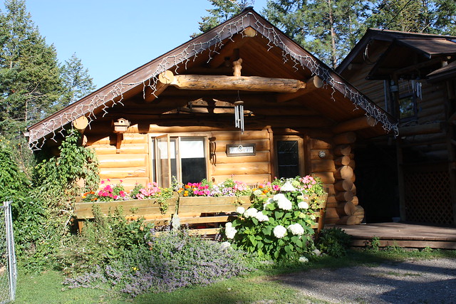 log cabin Studio