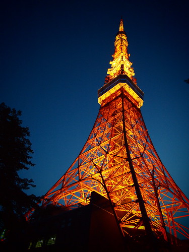 Tokyo 2010 - 芝公園 - 東京タワー(15)
