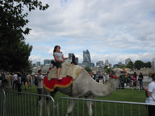 Camel Rides in More London