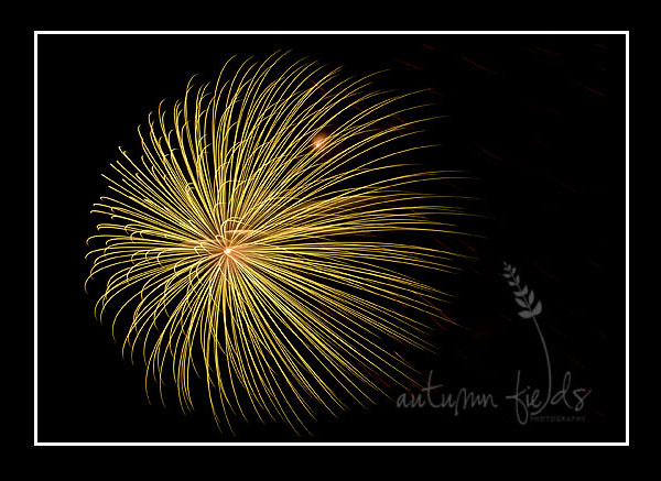 fireworks_0121