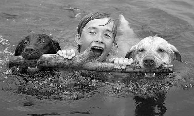dogs and kid swimming b&amp;w