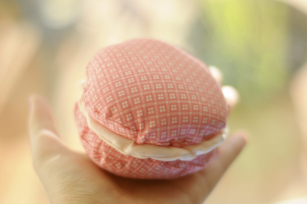 Raspberry French Macaron