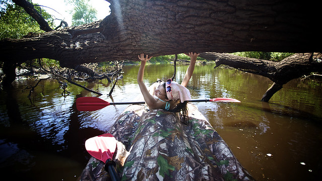 Canoe floats under a fallen oak tree