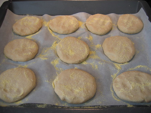 muffins crus