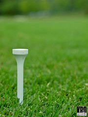 This is a Golf Tee