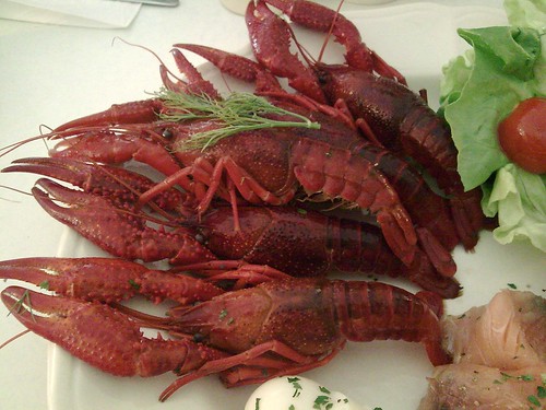 Fika Crayfish closeup